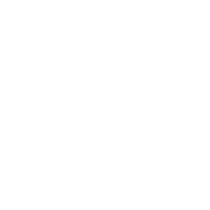 feature-item-1